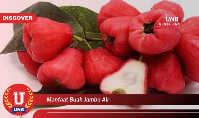 Temukan 10 Manfaat Buah Jambu Air untuk Kesehatan Anda