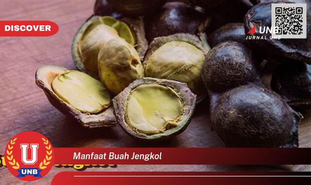 Temukan 9 Manfaat manfaat buah jengkol yang Wajib kamu ketahui