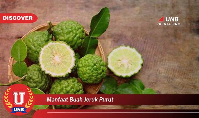 Temukan 10 Manfaat Buah Jeruk Purut untuk Kesehatan dan Kecantikan