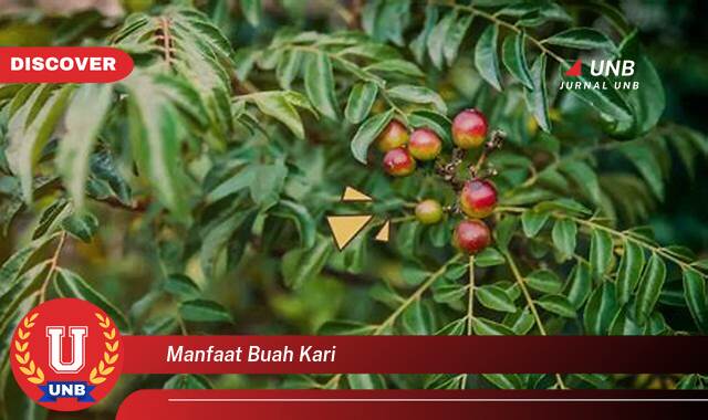 Ketahui 10 Manfaat manfaat buah kari yang Jarang Diketahui