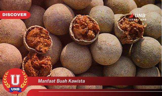 Temukan 10 Manfaat Buah Kawista untuk Kesehatan Anda yang Menakjubkan