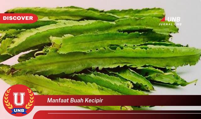 Ketahui 10 Manfaat manfaat buah kecipir yang tidak Semua Orang Tau