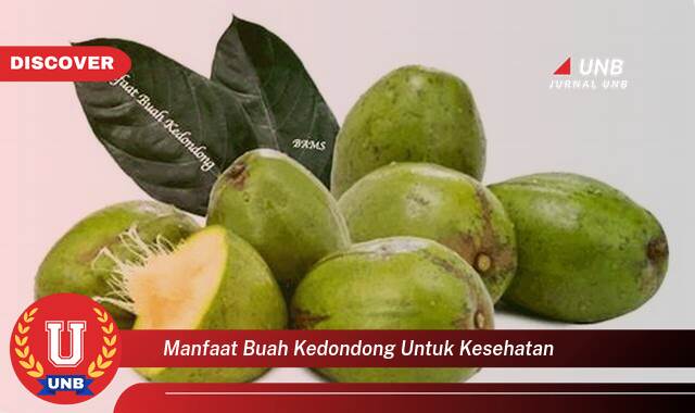 9 Manfaat manfaat buah kedondong untuk kesehatan yang Bikin Kamu Penasaran