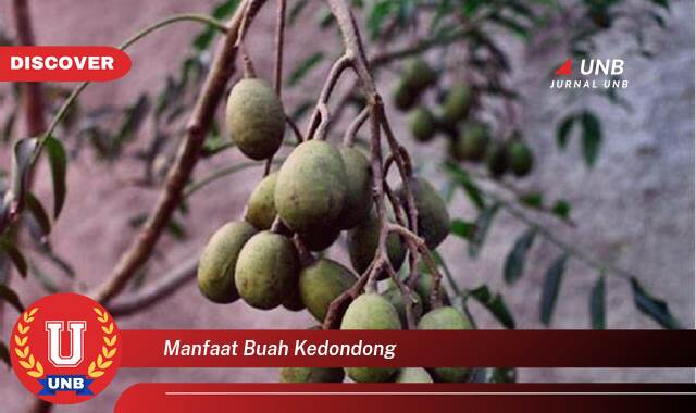 Temukan 10 Manfaat Buah Kedondong untuk Kesehatan Tubuh Anda Temukan 10 Manfaat Buah Kedondong untuk Kesehatan Tubuh Anda