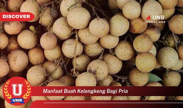 Temukan 8 Manfaat manfaat buah kelengkeng bagi pria yang Wajib Kamu Intip