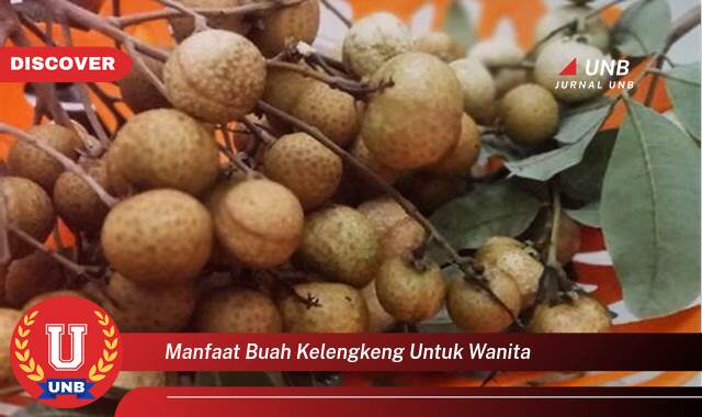 Temukan 8 Manfaat Buah Kelengkeng untuk Kesehatan & Kecantikan Wanita