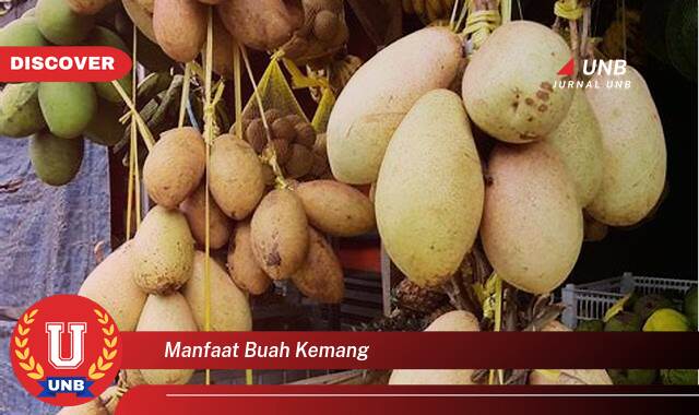 Temukan 9 Manfaat Buah Kemang untuk Kesehatan, Dari Pencernaan hingga Imunitas