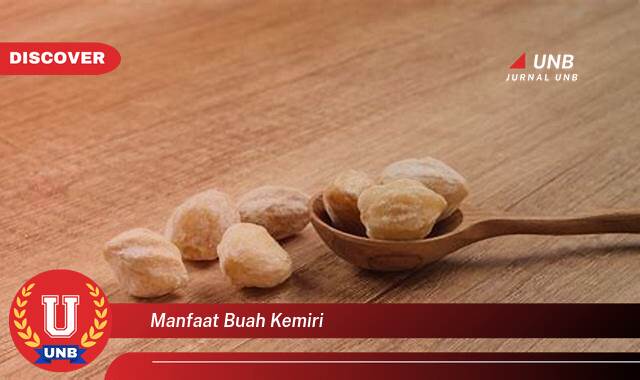 Ketahui 8 Manfaat manfaat buah kemiri yang Bikin Kamu Penasaran