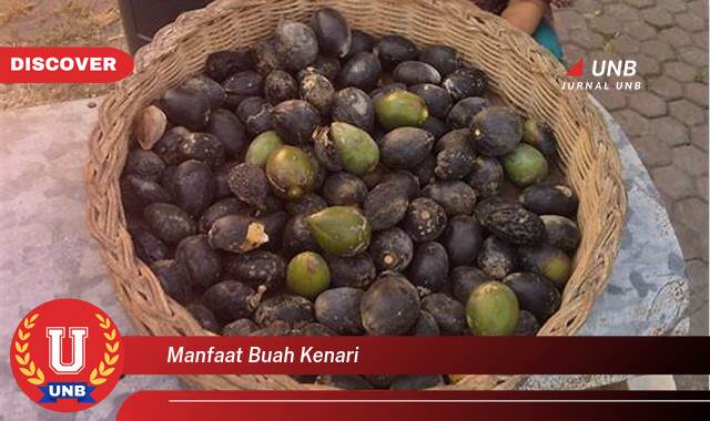 Temukan 9 Manfaat Buah Kenari untuk Kesehatan Tubuh dan Otak Anda Secara Lengkap