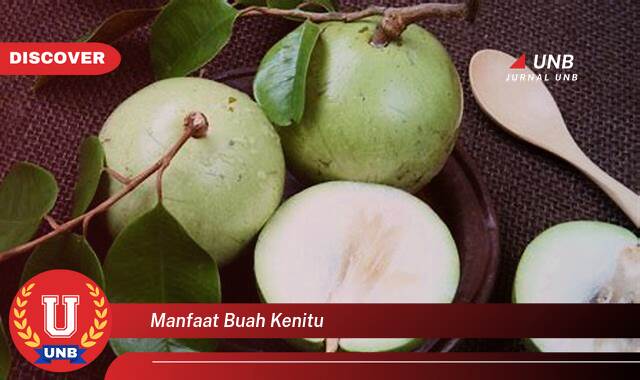 Temukan 9 Manfaat Buah Kenitu untuk Kesehatan dan Kecantikan