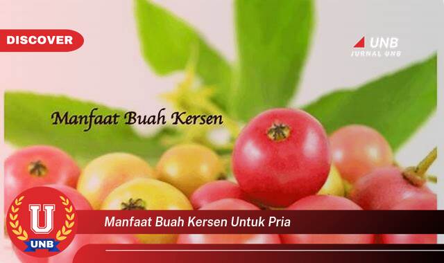 Temukan 9 Manfaat Buah Kersen untuk Kesehatan Pria, Meningkatkan Stamina dan Vitalitas