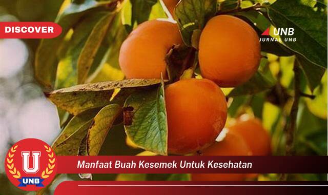 Temukan 8 Manfaat Buah Kesemek untuk Kesehatan Tubuh Anda Secara Lengkap