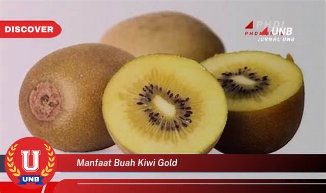 Temukan 9 Manfaat Buah Kiwi Gold untuk Kesehatan Tubuh Anda