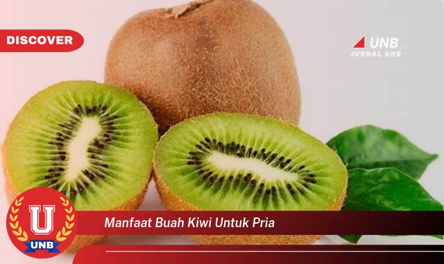 Temukan 8 Manfaat Buah Kiwi untuk Kesehatan Pria, Meningkatkan Energi, Imunitas, dan Vitalitas