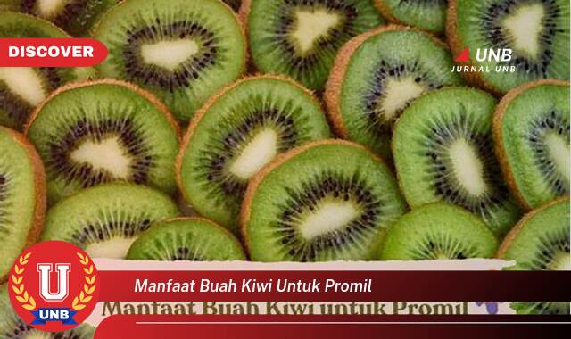 10 Manfaat manfaat buah kiwi untuk promil yang tidak Semua Orang Tau