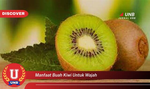 Temukan 9 Manfaat manfaat buah kiwi untuk wajah yang Bikin Kamu Penasaran