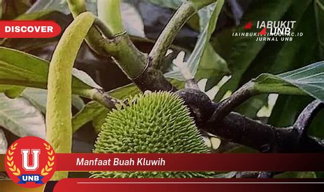 Temukan 9 Manfaat Buah Kluwih untuk Kesehatan, Meningkatkan Imunitas, Menyehatkan Jantung, dan Lainnya