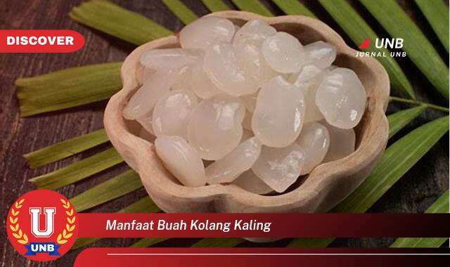 Temukan 9 Manfaat Buah Kolang Kaling untuk Kesehatan Tubuh Anda