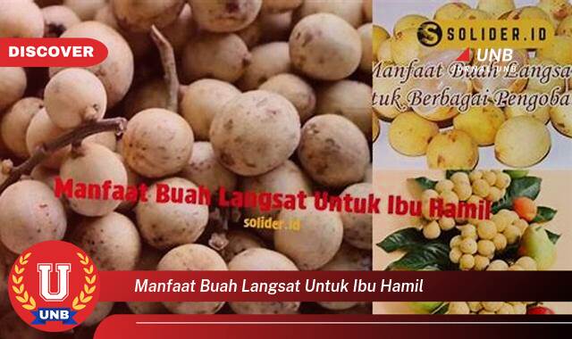 Temukan 9 Manfaat Buah Langsat untuk Ibu Hamil, Nutrisi Penting dan Tips Aman Mengonsumsinya