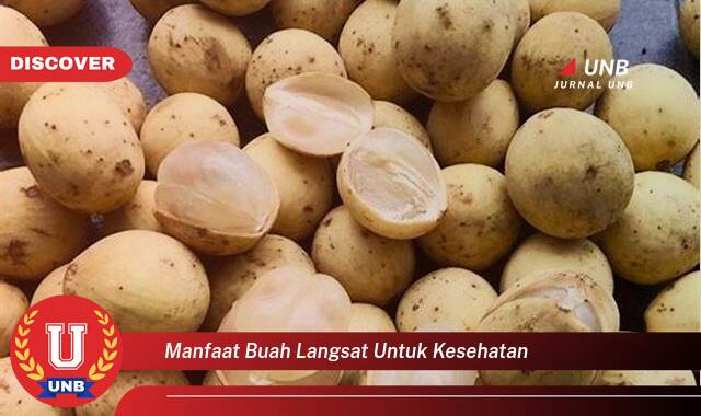 Temukan 9 Manfaat Buah Langsat untuk Kesehatan, Dari Meningkatkan Imunitas Hingga Menyehatkan Kulit