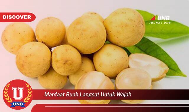Temukan 8 Manfaat Buah Langsat untuk Wajah, Kulit Cerah dan Sehat Alami Temukan 8 Manfaat Buah Langsat untuk Wajah, Kulit Cerah dan Sehat Alami