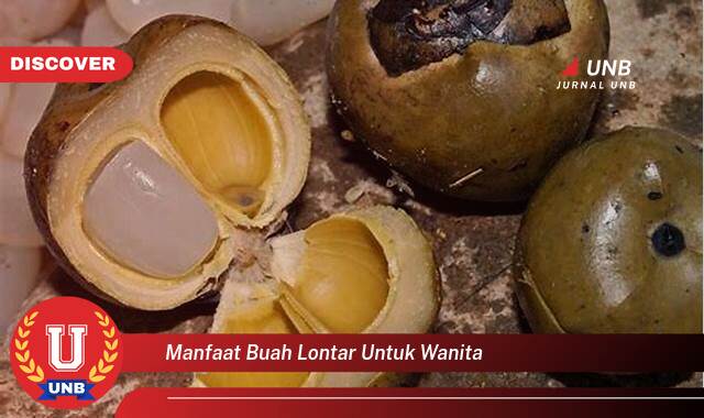 Temukan 9 Manfaat Buah Lontar untuk Wanita, Kesehatan, Kecantikan, dan Kesuburan