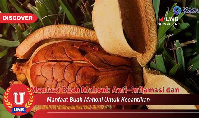 Temukan 8 Manfaat Buah Mahoni untuk Kecantikan Kulit Wajah dan Rambut Anda Temukan 8 Manfaat Buah Mahoni untuk Kecantikan Kulit Wajah dan Rambut Anda
