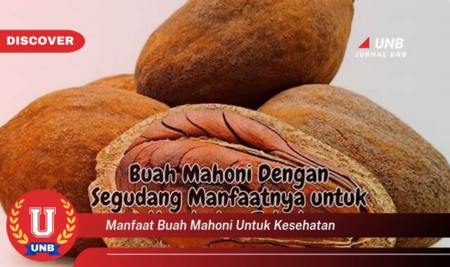 Temukan 9 Manfaat Buah Mahoni untuk Kesehatan,  Khasiat Luar Biasa yang Tersembunyi