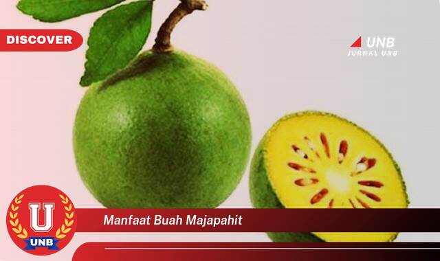 Inilah 8 Manfaat manfaat buah majapahit yang tidak Semua Orang Tau
