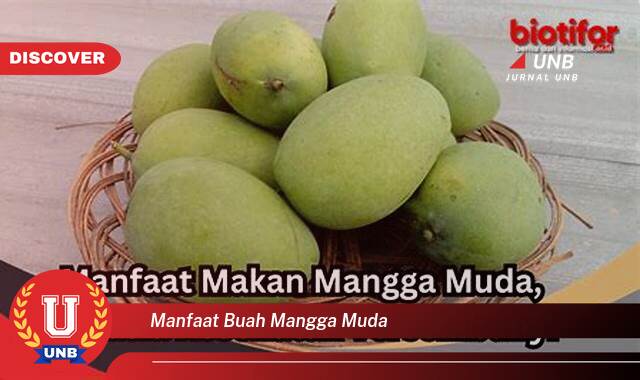 Ketahui 10 Manfaat manfaat buah mangga muda yang Wajib Kamu Intip