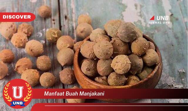 Temukan 10 Manfaat Buah Manjakani untuk Kesehatan Wanita Secara Lengkap