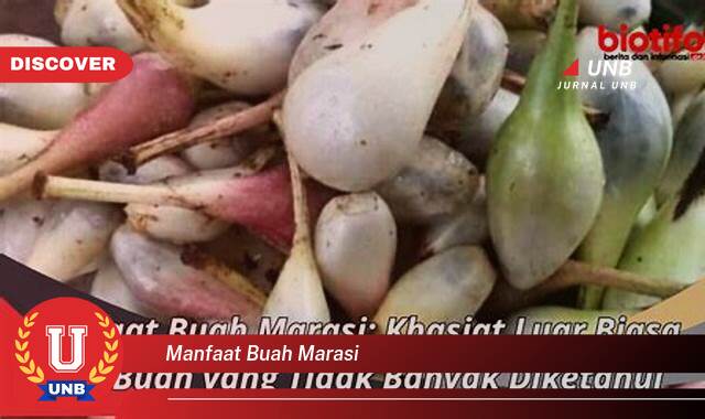 Temukan 9 Manfaat Buah Marasi untuk Kesehatan dan Kecantikan Anda Temukan 9 Manfaat Buah Marasi untuk Kesehatan dan Kecantikan Anda