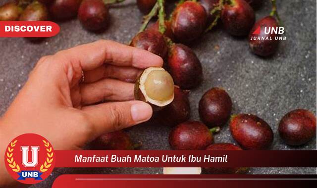 Temukan 9 Manfaat Buah Matoa untuk Ibu Hamil, Nutrisi Penting dan Keamanan Konsumsi