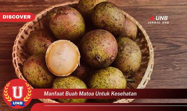 Temukan 8 Manfaat Buah Matoa untuk Kesehatan, 10 Khasiat Mengejutkan yang Wajib Anda Ketahui