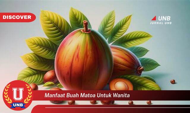 Temukan 10 Manfaat Buah Matoa untuk Wanita, Kesehatan, Kecantikan, dan Program Hamil