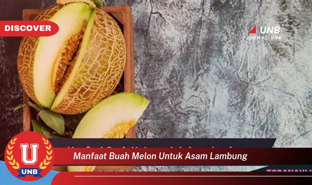 Temukan 8 Manfaat Buah Melon untuk Asam Lambung, Redakan Gejala dan Cegah Kambuh