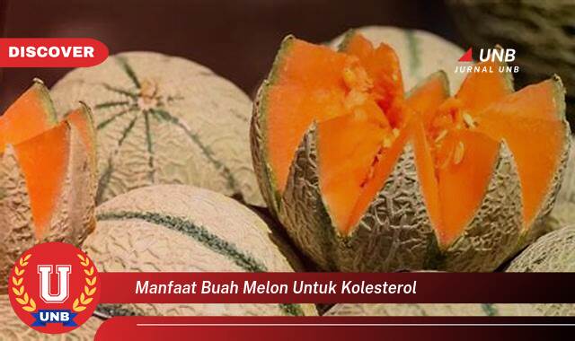 Temukan 10 Manfaat Buah Melon untuk Menurunkan Kolesterol Jahat dan Meningkatkan Kolesterol Baik