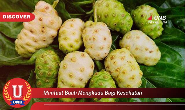 Temukan 8 Manfaat manfaat buah mengkudu bagi kesehatan yang Wajib Kamu Intip
