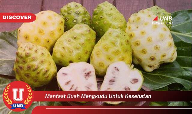 Temukan 9 Manfaat Buah Mengkudu untuk Kesehatan, 10 Khasiat Luar Biasa yang Tak Terduga Temukan 9 Manfaat Buah Mengkudu untuk Kesehatan, 10 Khasiat Luar Biasa yang Tak Terduga