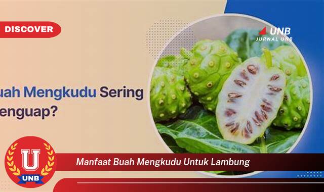 Temukan 10 Manfaat Buah Mengkudu untuk Lambung, Redakan Maag dan Gangguan Pencernaan Secara Alami Temukan 10 Manfaat Buah Mengkudu untuk Lambung, Redakan Maag dan Gangguan Pencernaan Secara Alami
