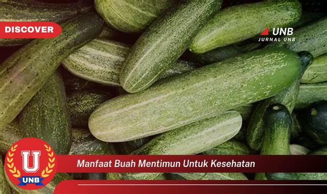 8 Manfaat manfaat buah mentimun untuk kesehatan yang Wajib Kamu Intip