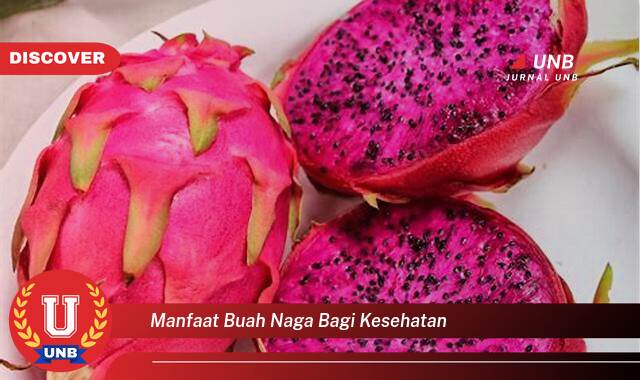 Temukan 9 Manfaat Buah Naga bagi Kesehatan, Panduan Lengkap untuk Hidup Sehat