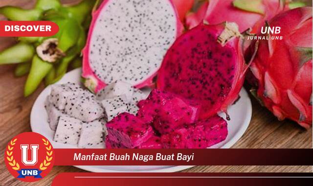 Inilah 10 Manfaat manfaat buah naga buat bayi yang Wajib kamu ketahui