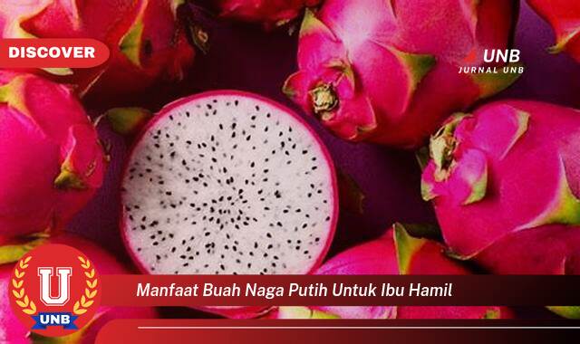 Ketahui 10 Manfaat manfaat buah naga putih untuk ibu hamil yang Wajib Kamu Intip