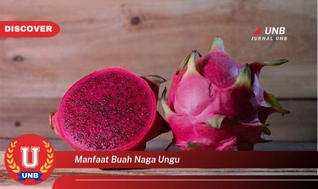 Temukan 8 Manfaat Buah Naga Ungu untuk Kesehatan Anda yang Luar Biasa