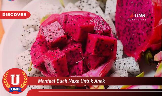 Temukan 10 Manfaat Buah Naga untuk Anak, Meningkatkan Kesehatan dan Tumbuh Kembang Optimal Temukan 10 Manfaat Buah Naga untuk Anak, Meningkatkan Kesehatan dan Tumbuh Kembang Optimal