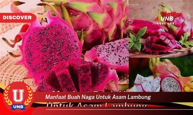 Temukan 9 Manfaat manfaat buah naga untuk asam lambung yang Wajib Kamu Intip