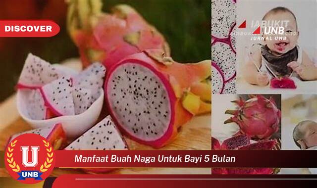 Ketahui 10 Manfaat manfaat buah naga untuk bayi 5 bulan yang Wajib kamu ketahui