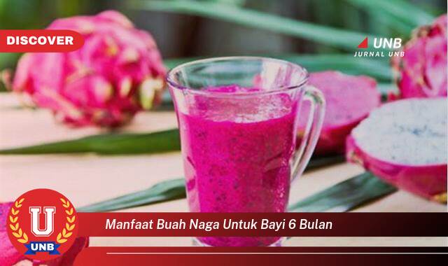 Inilah 8 Manfaat manfaat buah naga untuk bayi 6 bulan yang Wajib kamu ketahui