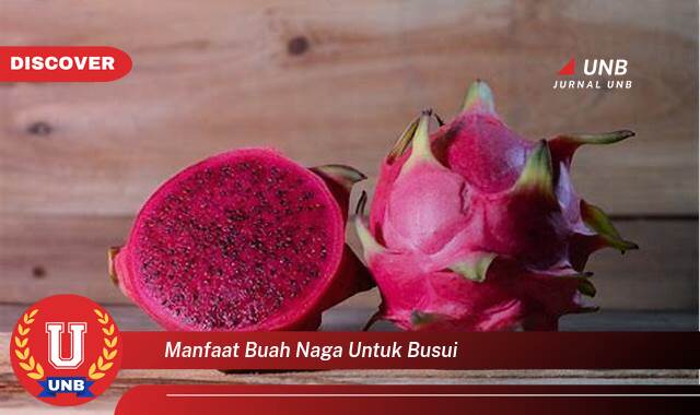 8 Manfaat manfaat buah naga untuk busui yang Wajib Kamu Intip